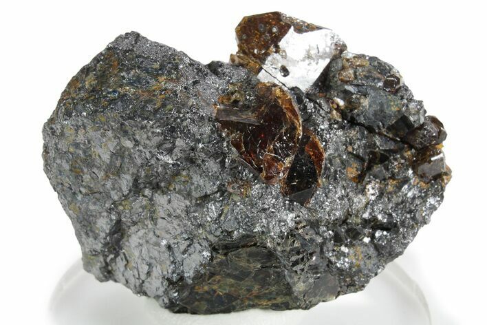 Fluorescent Zircon Crystals and Magnetite in Biotite Schist - Norway #351544